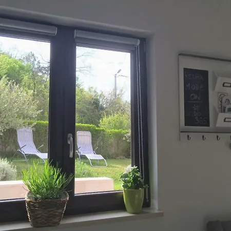 365 Apartment